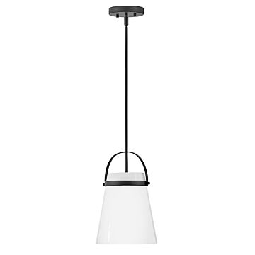 Lark Tori Pendant Light in Black