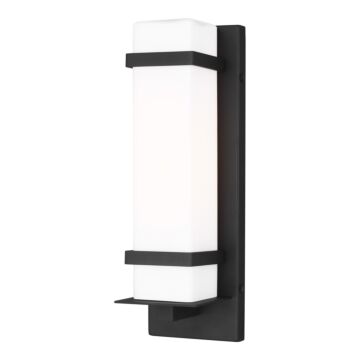 Alban 1-Light Outdoor Wall Lantern in Black