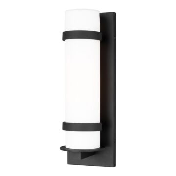 Alban 1-Light Outdoor Wall Lantern in Black