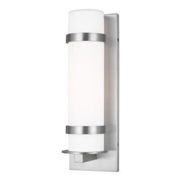 Alban 1-Light Outdoor Wall Lantern in Satin Aluminum