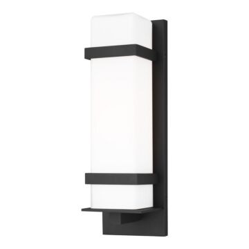Alban 1-Light Outdoor Wall Lantern in Black