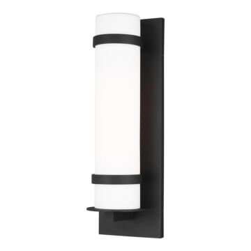 Alban 1-Light Outdoor Wall Lantern in Black