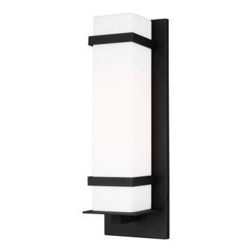 Alban 1-Light Outdoor Wall Lantern in Black
