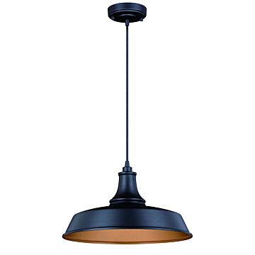 Dorado 1-Light Outdoor Pendant in Dark Bronze and Light Gold