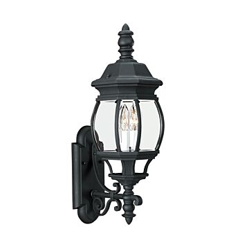 Wynfield 2-Light Outdoor Wall Lantern in Black