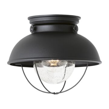 Sebring 1-Light Outdoor Flush Mount Ceiling Light in Black