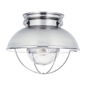 Sebring 1-Light Outdoor Flush Mount Ceiling Light in Brushed Stainless