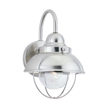 Sebring 1-Light Outdoor Wall Lantern in Brushed Stainless