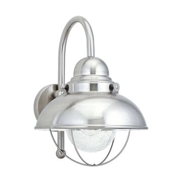Sebring 1-Light Outdoor Wall Lantern in Brushed Stainless