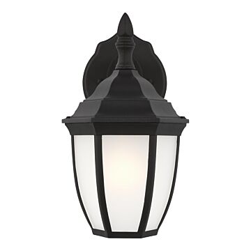 Bakersville 1-Light Outdoor Wall Lantern in Black