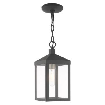 Nyack 1-Light Outdoor Pendant in Scandinavian Gray w with Brushed Nickels