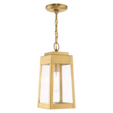 Oslo 1-Light Outdoor Pendant in Satin Brass
