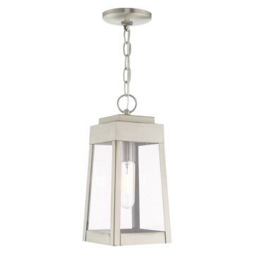 Oslo 1-Light Outdoor Pendant in Brushed Nickel