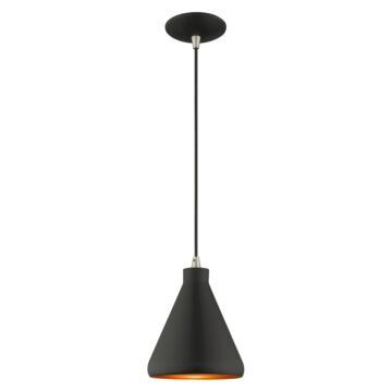 Geneva 1-Light Mini Pendant in Black w with Brushed Nickels