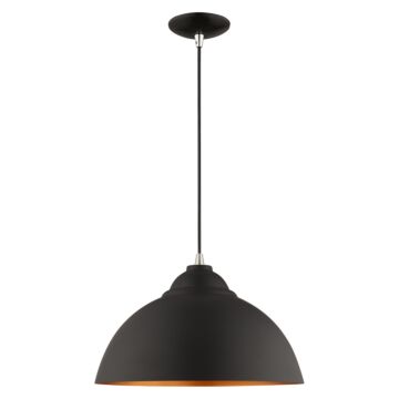 Metal Shade Mini Pendants 1-Light Mini Pendant in Black w with Brushed Nickels