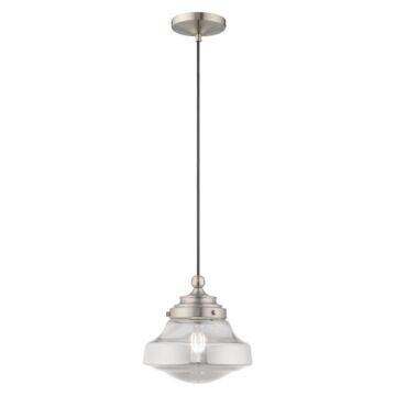 Avondale 1-Light Mini Pendant in Brushed Nickel