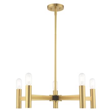 Copenhagen 5-Light Chandelier in Satin Brass w with Bronzes