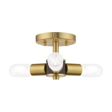 Copenhagen 3-Light Ceiling Mount in Satin Brass w with Bronzes