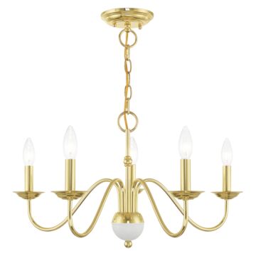 Windsor 5-Light Chandelier in Polished Brass w with White