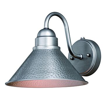 Outland 1-Light Outdoor Wall Mount in Brushed Pewter