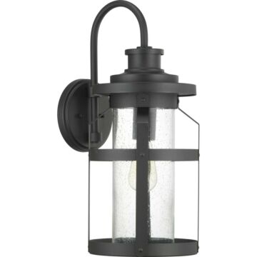 Haslett 1-Light Wall Lantern in Black