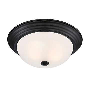 Decorative Flushmount 2-Light Flushmount in Oil Rubbed Bronze