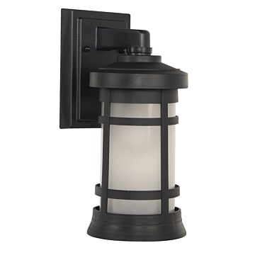 Resilience Lanterns One Light Outdoor Wall Lantern in Textured Black by Craftmade