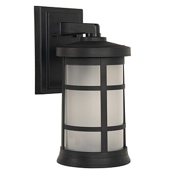 Resilience Lanterns One Light Outdoor Wall Lantern in Textured Black by Craftmade