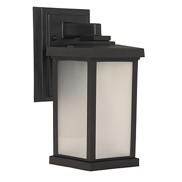 Resilience Lanterns One Light Outdoor Wall Lantern in Textured Black by Craftmade