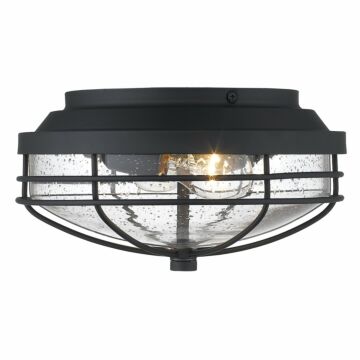 Golden Seaport 2 Light Outdoor Ceiling Light in Natural Black