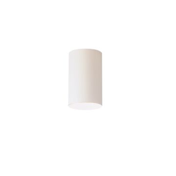 No Family One Light Outdoor Ceiling Mount in White by Kichler