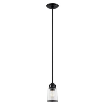 Lawrenceville 1-Light Pendant in Black