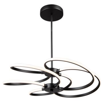 Equinox LED Pendant in Black