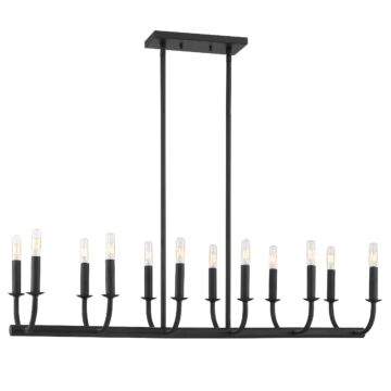 Bailey 12 Light Chandelier in Matte Black by Crystorama