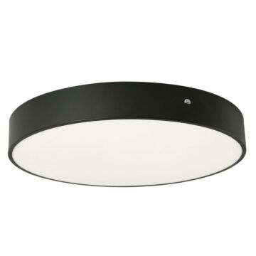 Bailey LED Flush Mount in Black by AFX Lighting