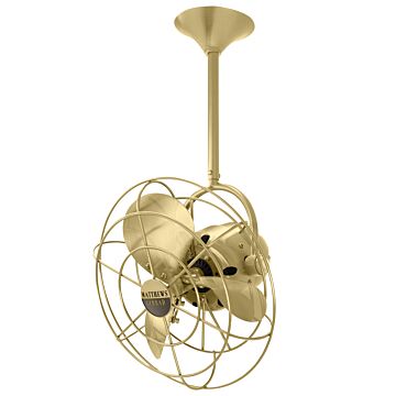 Bianca Direcional 3-Speed AC 13" Ceiling Fan in Brushed Brass with Brushed Brass blades