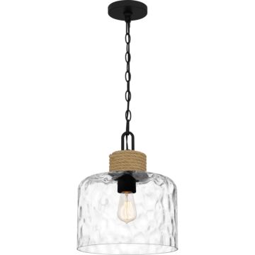 Baltic One Light Mini Pendant in Matte Black by Quoizel