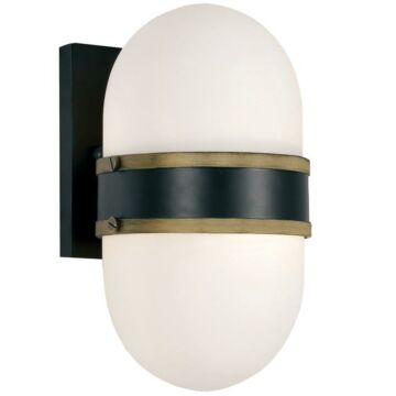 Capsule One Light Outdoor Wall Sconce in Matte Black   Textured Gold by Crystorama