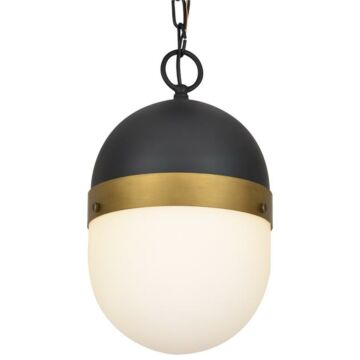 Capsule One Light Outdoor Pendant in Matte Black   Textured Gold by Crystorama