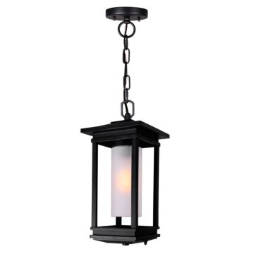 CWI Lighting Granville Granville 1 Light Black Outdoor Hanging Light