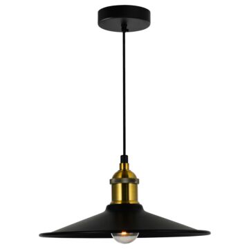 Brave One Light Mini Pendant in Black by CWI Lighting