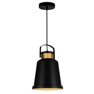 CWI Lighting Elisa 1 Light Down Pendant with Black finish