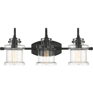 Quoizel Danbury 3 Light 10 Inch Bathroom Vanity Light in Earth Black