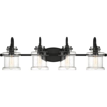 Quoizel Danbury 4 Light 10 Inch Bathroom Vanity Light in Earth Black
