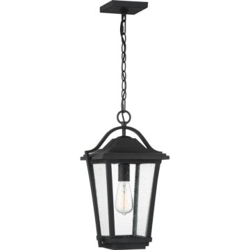 Quoizel Darius 11 Inch Outdoor Hanging Light in Earth Black