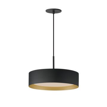 Echo LED Pendant in Black  Gold by ET2