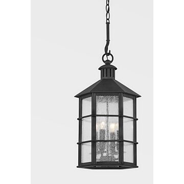 Lake County Four Light Outdoor Lantern in French Iron by Troy Lighting