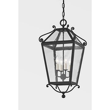 Santa Barbara County Four Light Outdoor Lantern in French Iron by Troy Lighting