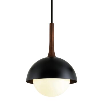 Cadet One Light Pendant in Soft Black by Troy Lighting