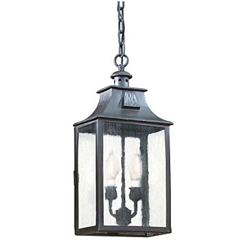 Newton Two Light Hanging Lantern in Soft Off Black by Troy Lighting